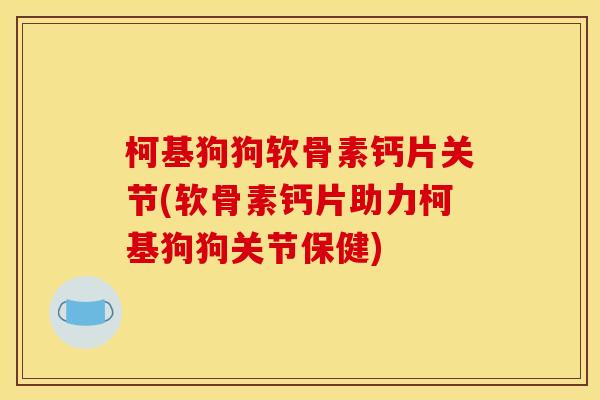 柯基狗狗软骨素钙片关节(软骨素钙片助力柯基狗狗关节保健)
