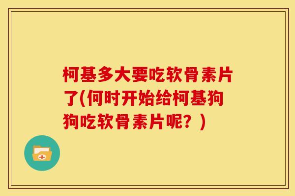 柯基多大要吃软骨素片了(何时开始给柯基狗狗吃软骨素片呢？)