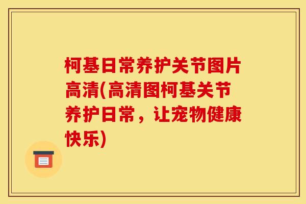 柯基日常养护关节图片高清(高清图柯基关节养护日常，让宠物健康快乐)
