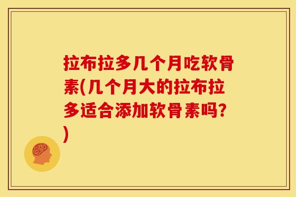 拉布拉多几个月吃软骨素(几个月大的拉布拉多适合添加软骨素吗？)