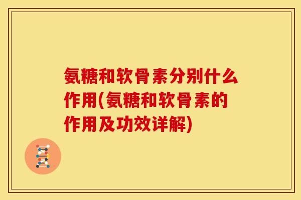 氨糖和软骨素分别什么作用(氨糖和软骨素的作用及功效详解)