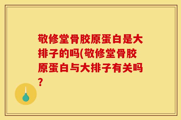 敬修堂骨胶原蛋白是大排子的吗(敬修堂骨胶原蛋白与大排子有关吗？