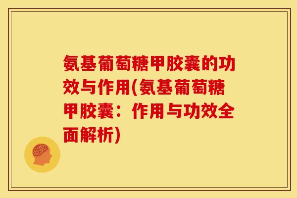 氨基葡萄糖甲胶囊的功效与作用(氨基葡萄糖甲胶囊：作用与功效全面解析)