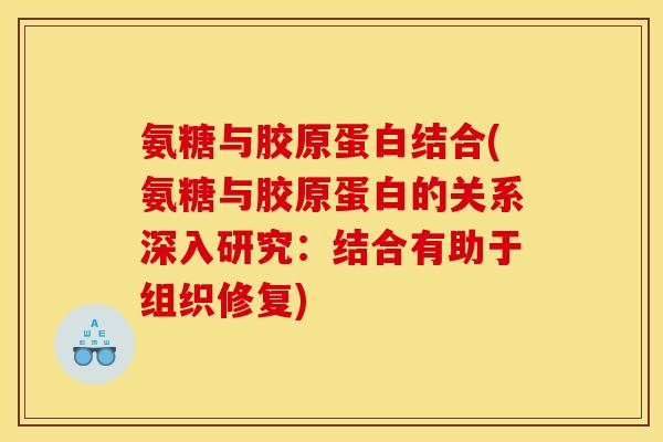 氨糖与胶原蛋白结合(氨糖与胶原蛋白的关系深入研究：结合有助于组织修复)
