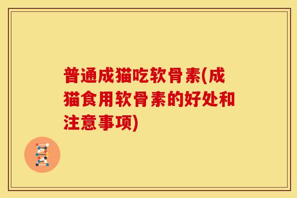 普通成猫吃软骨素(成猫食用软骨素的好处和注意事项)
