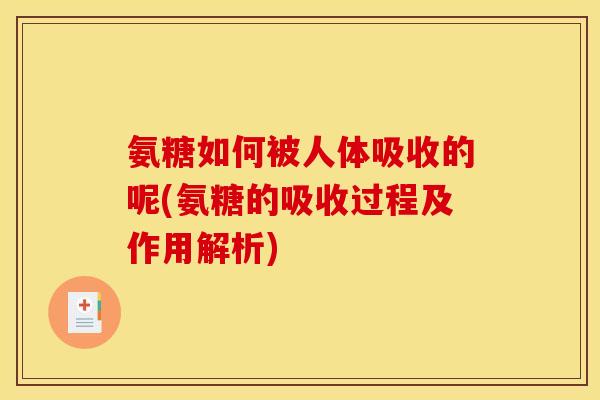 氨糖如何被人体吸收的呢(氨糖的吸收过程及作用解析)