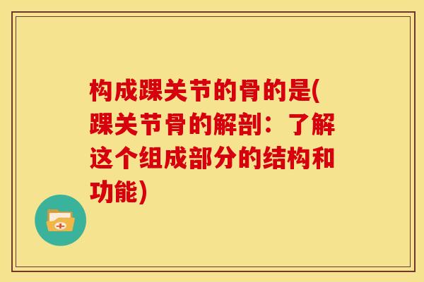 构成踝关节的骨的是(踝关节骨的解剖：了解这个组成部分的结构和功能)