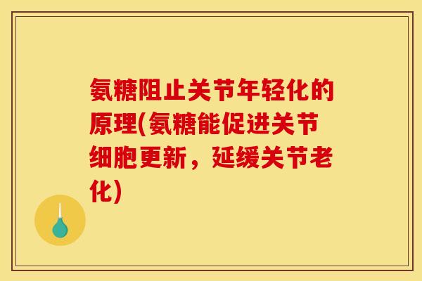 氨糖阻止关节年轻化的原理(氨糖能促进关节细胞更新，延缓关节老化)