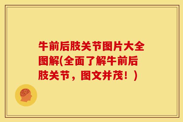 牛前后肢关节图片大全图解(全面了解牛前后肢关节，图文并茂！)