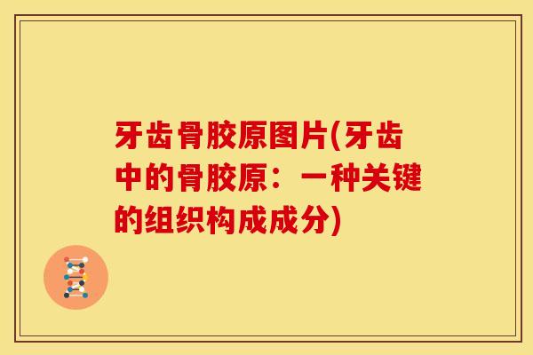 牙齿骨胶原图片(牙齿中的骨胶原：一种关键的组织构成成分)