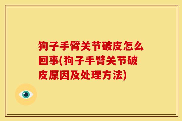 狗子手臂关节破皮怎么回事(狗子手臂关节破皮原因及处理方法)