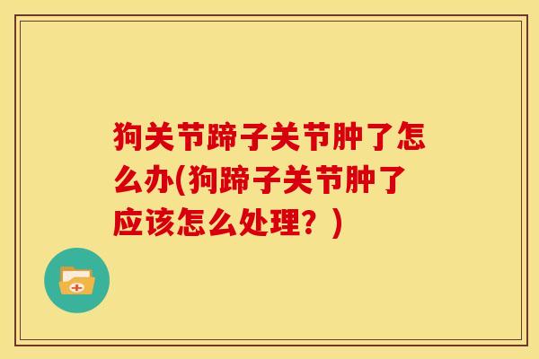 狗关节蹄子关节肿了怎么办(狗蹄子关节肿了应该怎么处理？)