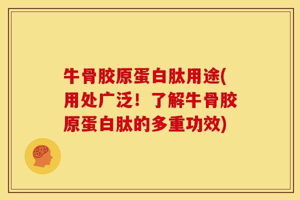 牛骨胶原蛋白肽用途(用处广泛！了解牛骨胶原蛋白肽的多重功效)
