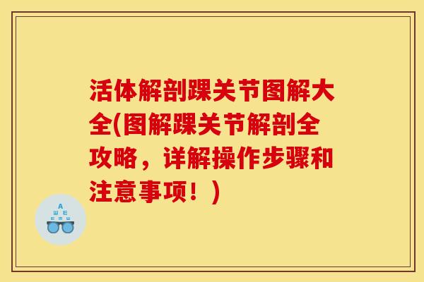活体解剖踝关节图解大全(图解踝关节解剖全攻略，详解操作步骤和注意事项！)