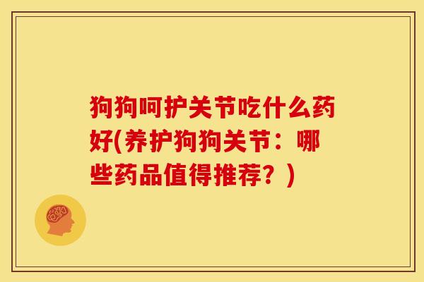 狗狗呵护关节吃什么药好(养护狗狗关节：哪些药品值得推荐？)