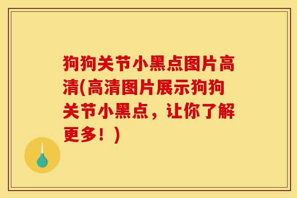 狗狗关节小黑点图片高清(高清图片展示狗狗关节小黑点，让你了解更多！)