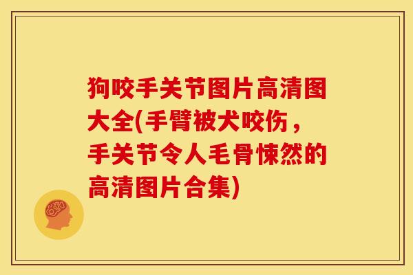 狗咬手关节图片高清图大全(手臂被犬咬伤，手关节令人毛骨悚然的高清图片合集)