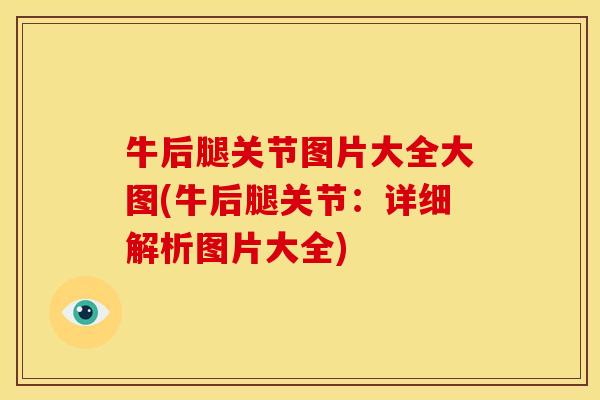 牛后腿关节图片大全大图(牛后腿关节：详细解析图片大全)