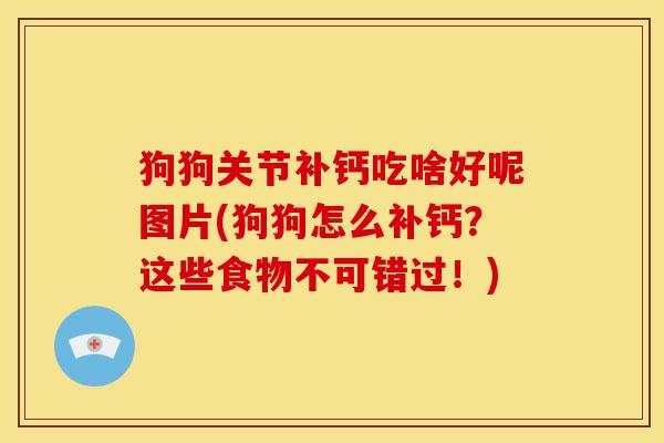 狗狗关节补钙吃啥好呢图片(狗狗怎么补钙？这些食物不可错过！)