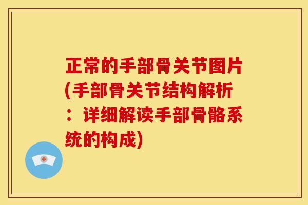 正常的手部骨关节图片(手部骨关节结构解析：详细解读手部骨骼系统的构成)