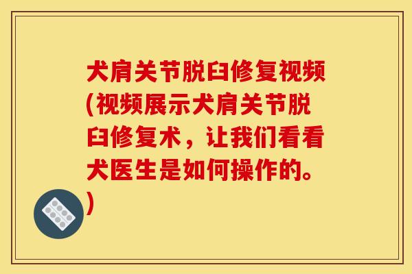 犬肩关节脱臼修复视频(视频展示犬肩关节脱臼修复术，让我们看看犬医生是如何操作的。)