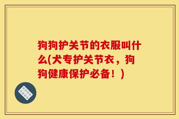 狗狗护关节的衣服叫什么(犬专护关节衣，狗狗健康保护必备！)