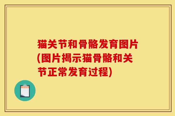 猫关节和骨骼发育图片(图片揭示猫骨骼和关节正常发育过程)