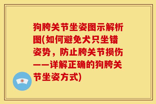 狗胯关节坐姿图示解析图(如何避免犬只坐错姿势，防止胯关节损伤——详解正确的狗胯关节坐姿方式)