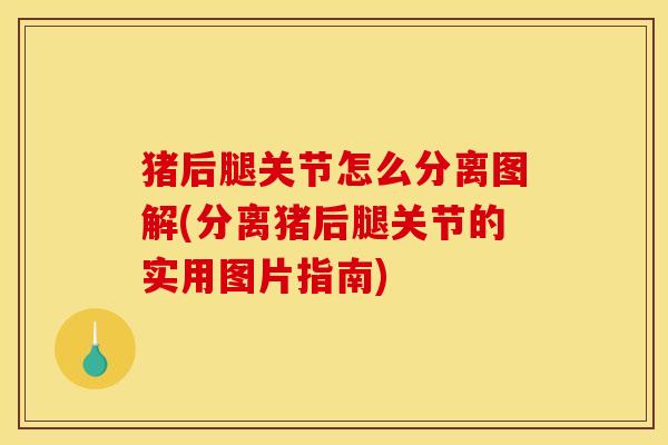 猪后腿关节怎么分离图解(分离猪后腿关节的实用图片指南)
