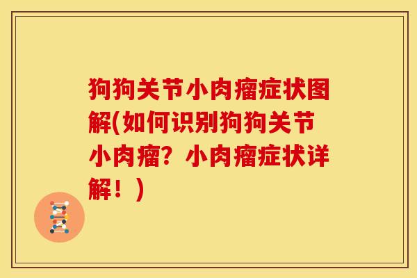 狗狗关节小肉瘤症状图解(如何识别狗狗关节小肉瘤？小肉瘤症状详解！)