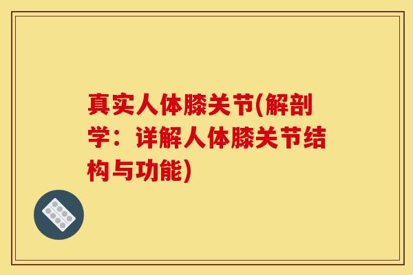 真实人体膝关节(解剖学：详解人体膝关节结构与功能)