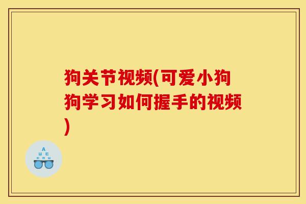 狗关节视频(可爱小狗狗学习如何握手的视频)