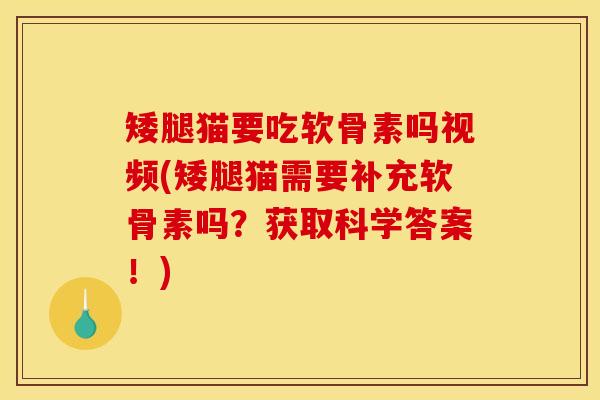 矮腿猫要吃软骨素吗视频(矮腿猫需要补充软骨素吗？获取科学答案！)