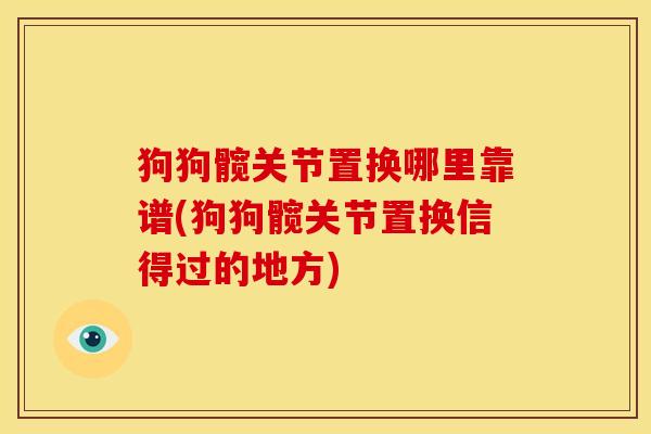 狗狗髋关节置换哪里靠谱(狗狗髋关节置换信得过的地方)