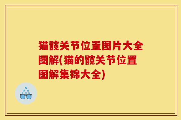 猫髋关节位置图片大全图解(猫的髋关节位置图解集锦大全)