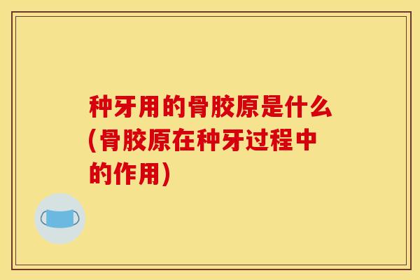 种牙用的骨胶原是什么(骨胶原在种牙过程中的作用)