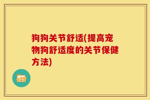 狗狗关节舒适(提高宠物狗舒适度的关节保健方法)
