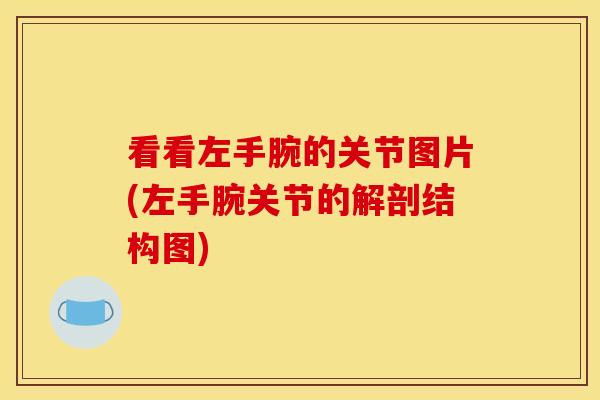 看看左手腕的关节图片(左手腕关节的解剖结构图)