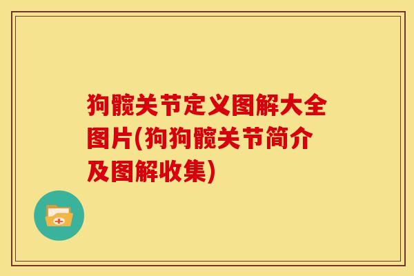 狗髋关节定义图解大全图片(狗狗髋关节简介及图解收集)