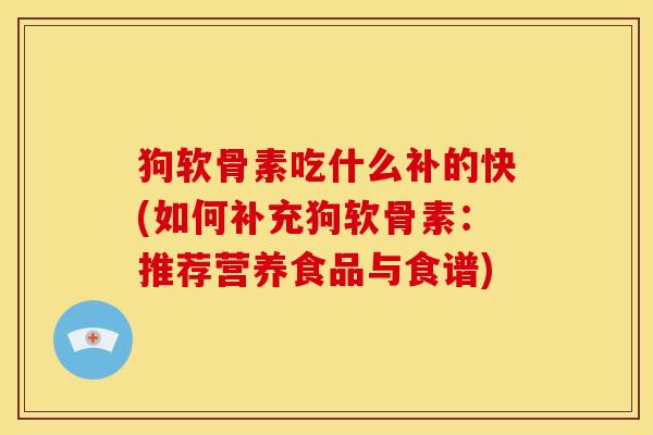 狗软骨素吃什么补的快(如何补充狗软骨素：推荐营养食品与食谱)