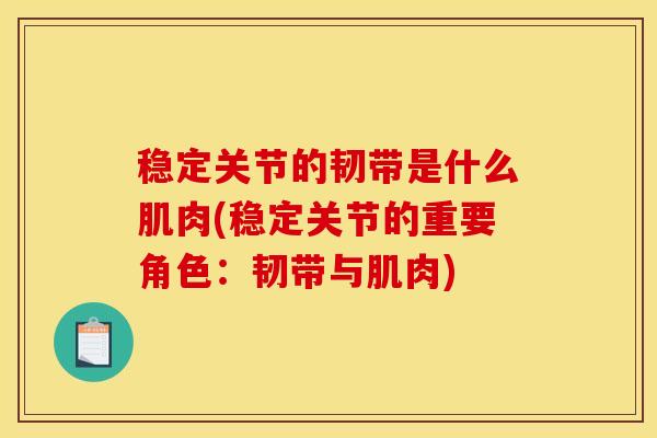 稳定关节的韧带是什么肌肉(稳定关节的重要角色：韧带与肌肉)