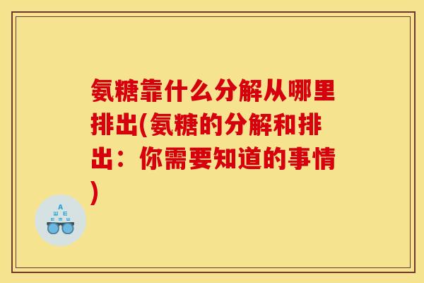 氨糖靠什么分解从哪里排出(氨糖的分解和排出：你需要知道的事情)