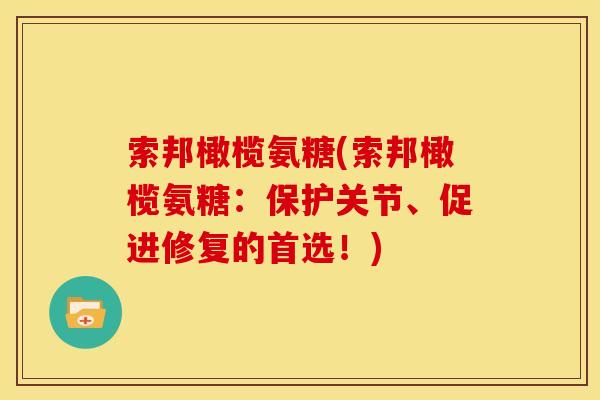 索邦橄榄氨糖(索邦橄榄氨糖：保护关节、促进修复的首选！)