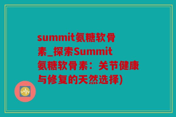 summit氨糖软骨素_探索Summit氨糖软骨素：关节健康与修复的天然选择)