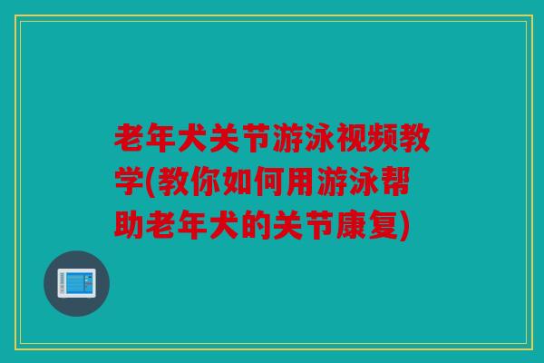 老年犬关节游泳视频教学(教你如何用游泳帮助老年犬的关节康复)