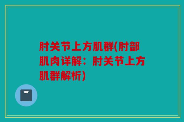 肘关节上方肌群(肘部肌肉详解：肘关节上方肌群解析)