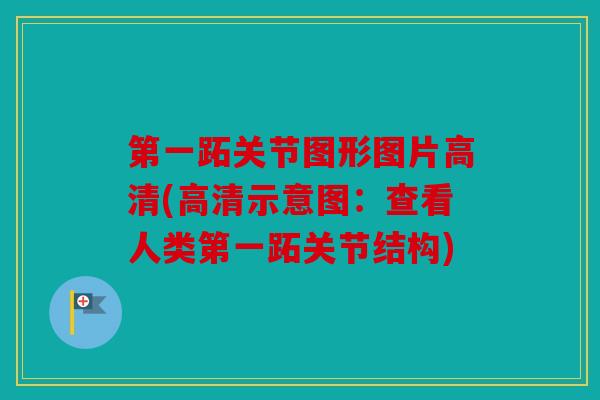 第一跖关节图形图片高清(高清示意图：查看人类第一跖关节结构)