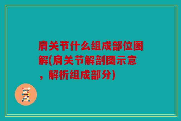 肩关节什么组成部位图解(肩关节解剖图示意，解析组成部分)