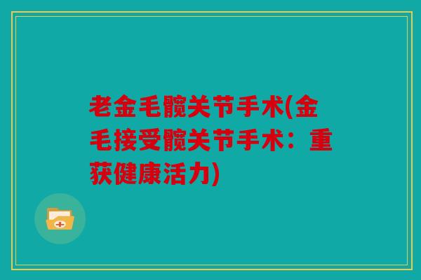 老金毛髋关节手术(金毛接受髋关节手术：重获健康活力)