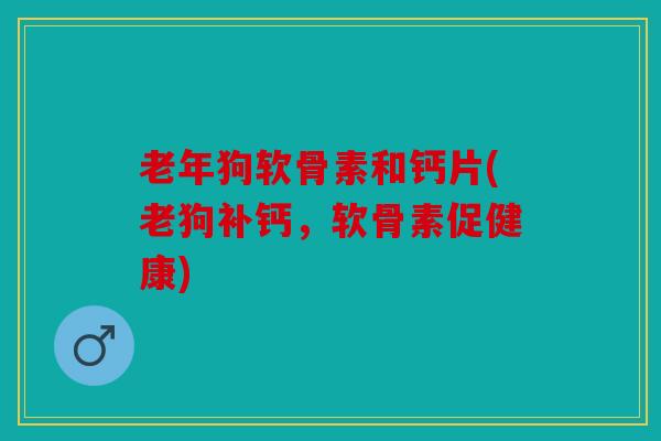 老年狗软骨素和钙片(老狗补钙，软骨素促健康)